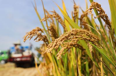 江蘇南通 財政金融協(xié)同支農(nóng)，省內(nèi)首創(chuàng)農(nóng)擔(dān)貼息政策