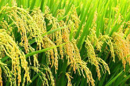 好產(chǎn)品，溯源碼訴說(shuō)；高品質(zhì)，細(xì)節(jié)中彰顯